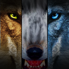 ikon Kill Rampage Wolf