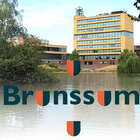 Brunssum2013 иконка