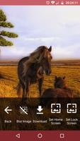 imagine wallpapers ảnh chụp màn hình 3