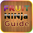 Guide for Fruit Ninja icône