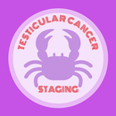 Testicular Cancer Staging aplikacja