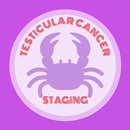 Testicular Cancer Staging APK