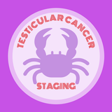 Testicular Cancer Staging APK
