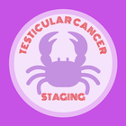 Testicular Cancer Staging आइकन