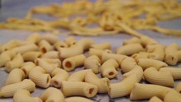 Broccoli with Rigatoni capture d'écran 1