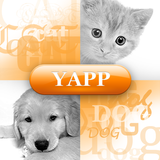 Yapp icon