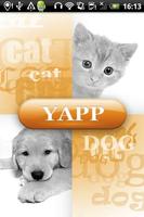 Yapp poster