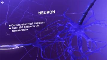 Virtual Myelin capture d'écran 1