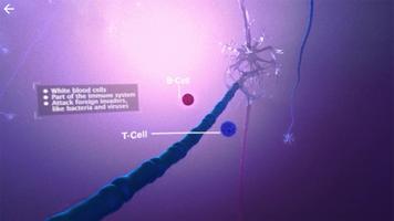 Virtual Myelin capture d'écran 2