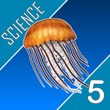 Science Quest Quiz Fifth Grade icon
