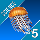 Science Quest Quiz Fifth Grade APK