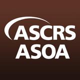 ASCRS*ASOA 2011 圖標