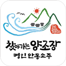 찾아가는 양조장(명인안동소주) APK