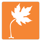 Maple Library ícone