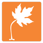 Maple Library icon