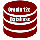 Oracle 12c Learning APK