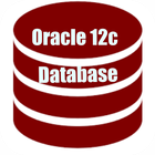 Oracle 12c Learning ikon