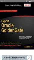 Oracle Golden Gate screenshot 1