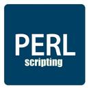 Perl Scripting APK
