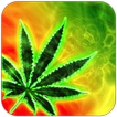Stoned Game