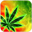 Stoned Game APK