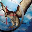 Falcon Bird Hunting Season