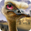 ”Ostrich Hunter Shotgun Shooter