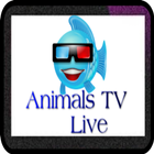 Animals TV Live ไอคอน