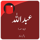 Abdullah Part 1 (Urdu Novel) Zeichen