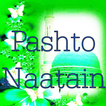 Pashto Naats/Natoona Mp3/Video