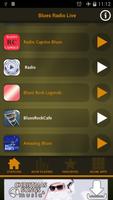 Blues Radio Live اسکرین شاٹ 3