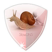 VPN Over DNS Tunnel : SlowDNS v2.6.0 (Ad-Free)