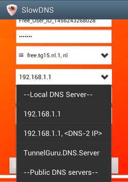 VPN Over DNS  Tunnel : SlowDNS screenshot 12