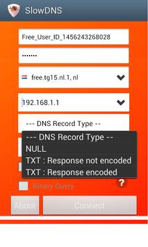 VPN Over DNS  Tunnel : SlowDNS capture d'écran 3