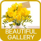 Beautiful Gallery ไอคอน