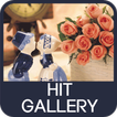 Hit Gallery