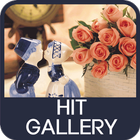Hit Gallery ícone
