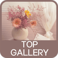 TOP Gallery