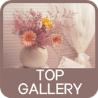 TOP Gallery icon