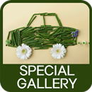 Special Gallery aplikacja