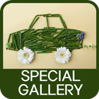 Special Gallery アイコン