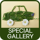 Special Gallery icône
