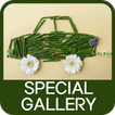 ”Special Gallery