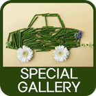 Special Gallery icône