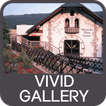 ”Vivid Gallery