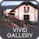 Vivid Gallery aplikacja