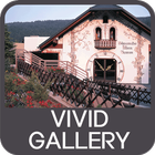 Vivid Gallery アイコン