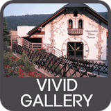 Vivid Gallery 아이콘