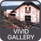 ikon Vivid Gallery