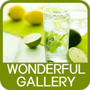 Wonderful Gallery aplikacja